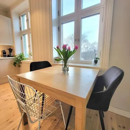 Sentral Leilighet Med Balkong. Apartment Oslo